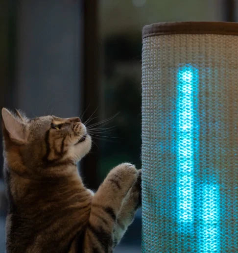 Light Switch-Mounted Cat Scratching Post