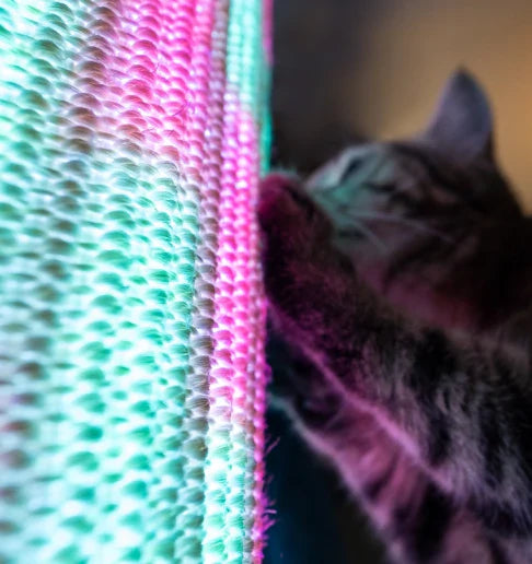Light Switch-Mounted Cat Scratching Post