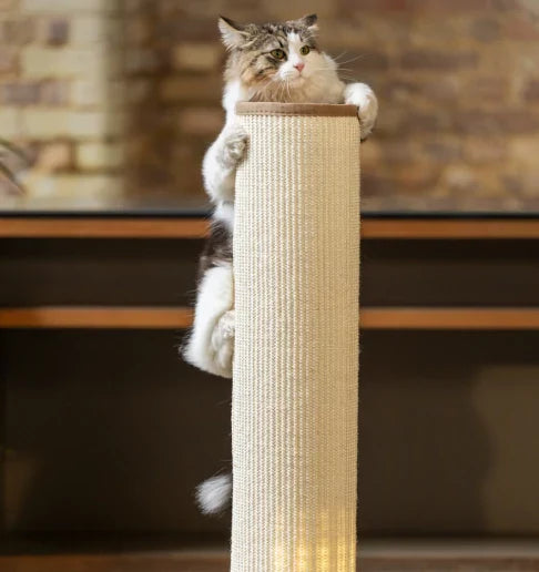 Light Switch-Mounted Cat Scratching Post