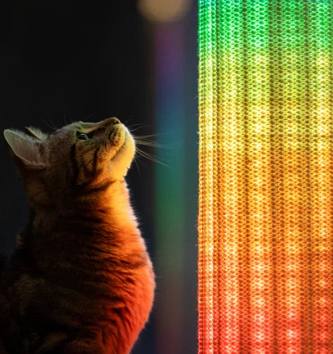 Light Switch-Mounted Cat Scratching Post